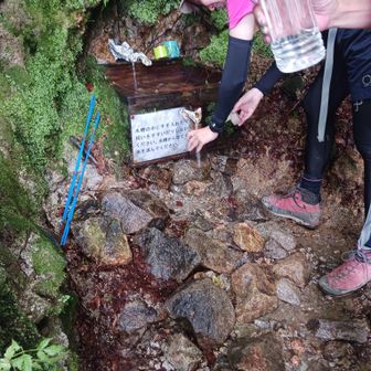 スタートから2時間半の水場。
ここの水がキンキンに冷えてて美味しかったです。
このルートだと水場が多いので飲み物は少なめで大丈夫です。