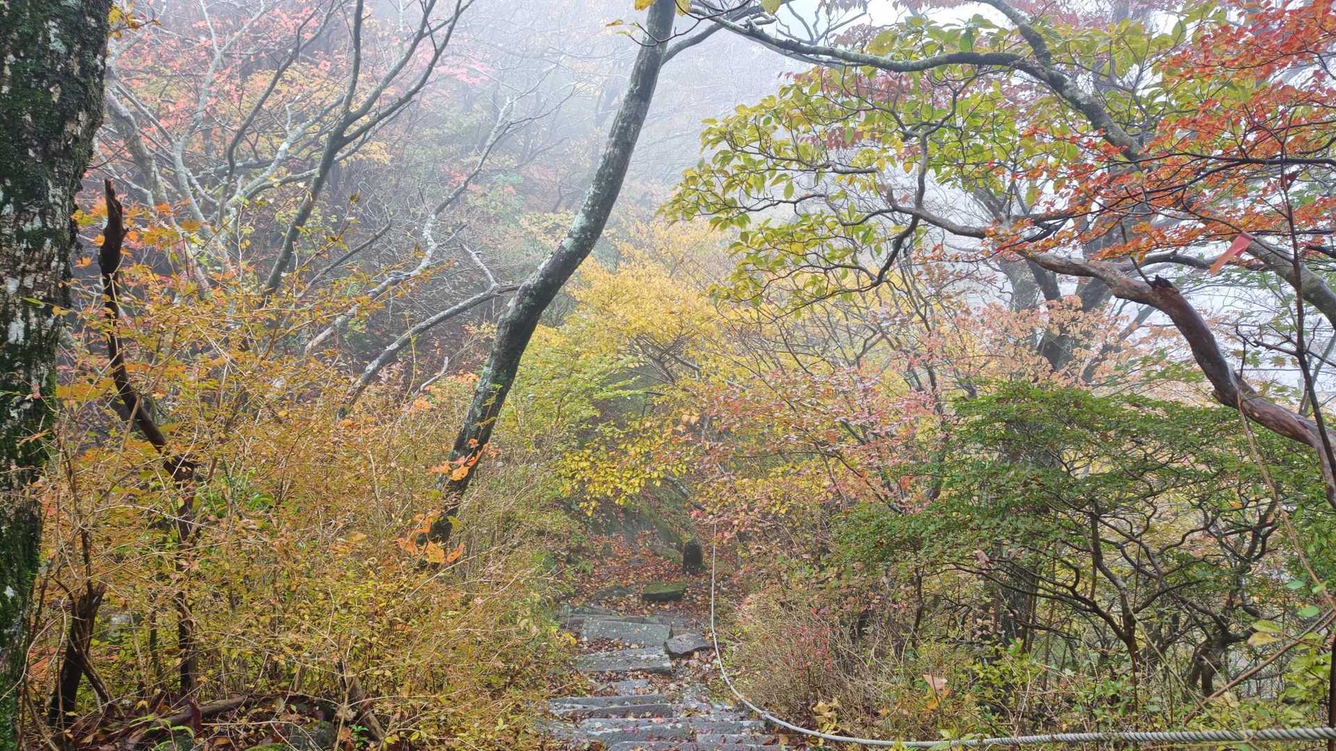 下山しますよ〜🍁