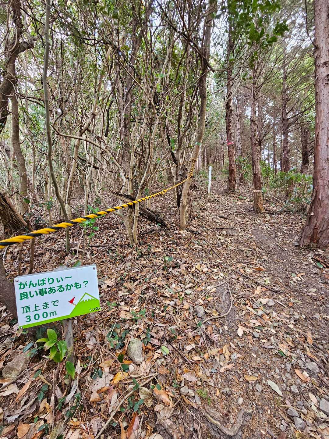 地域の方が整備してくれてるんだろうなぁ！