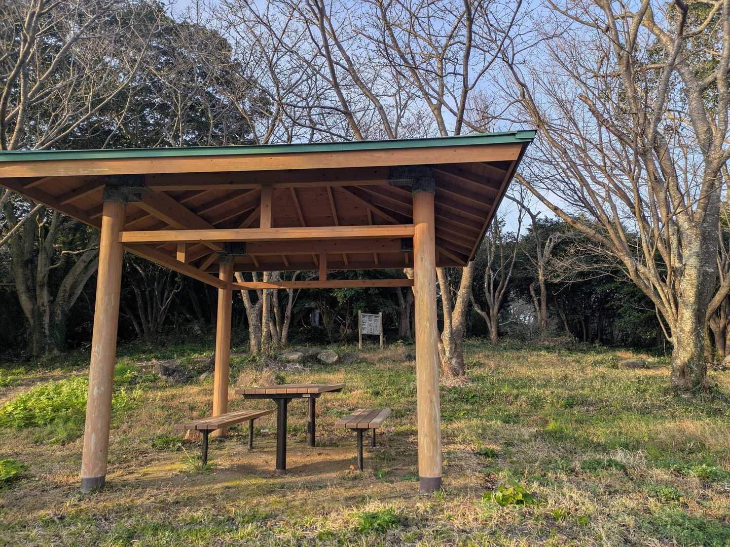 大島山 周回コースの写真
