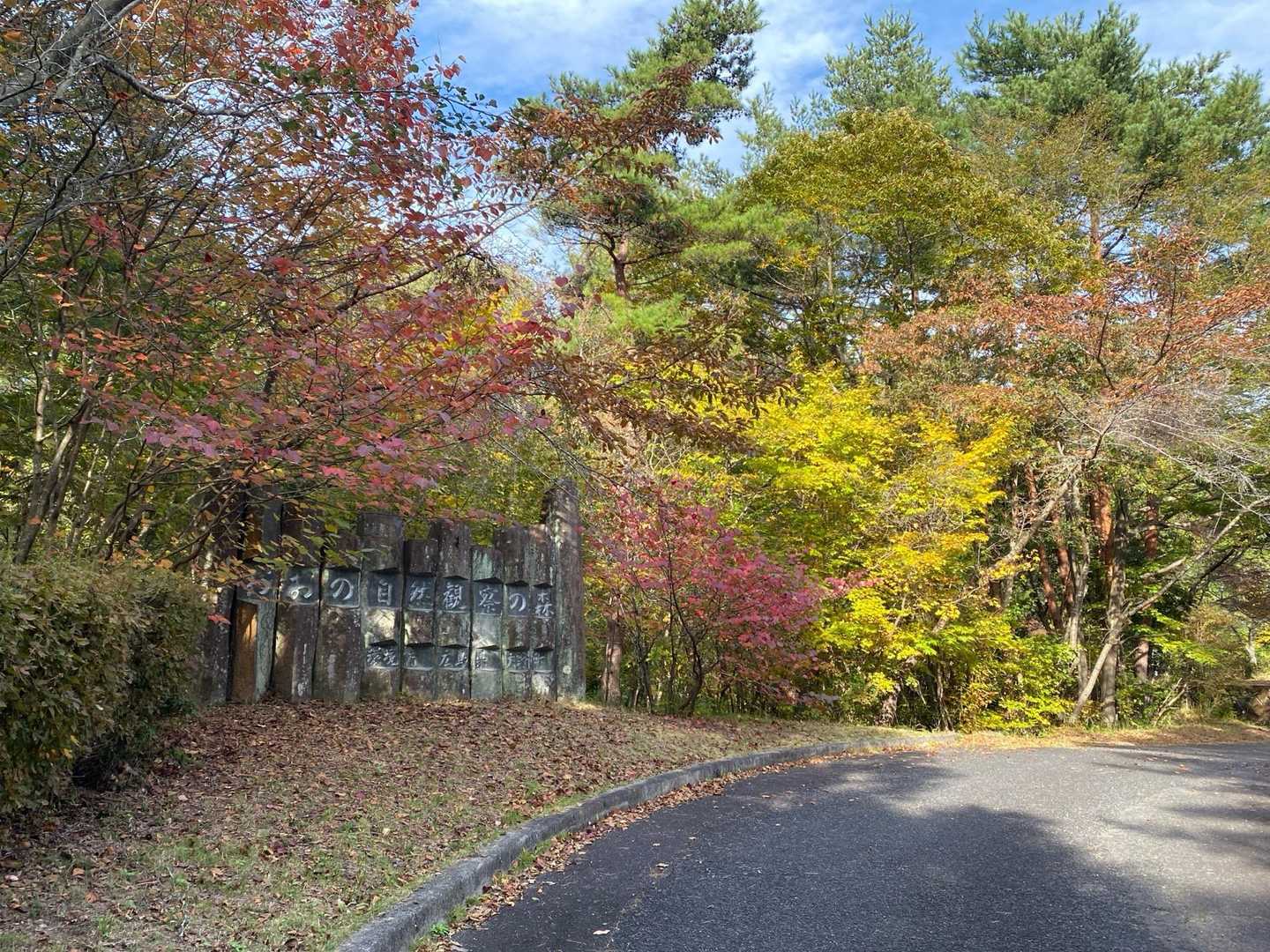 おおの自然観察の森に帰ってきました