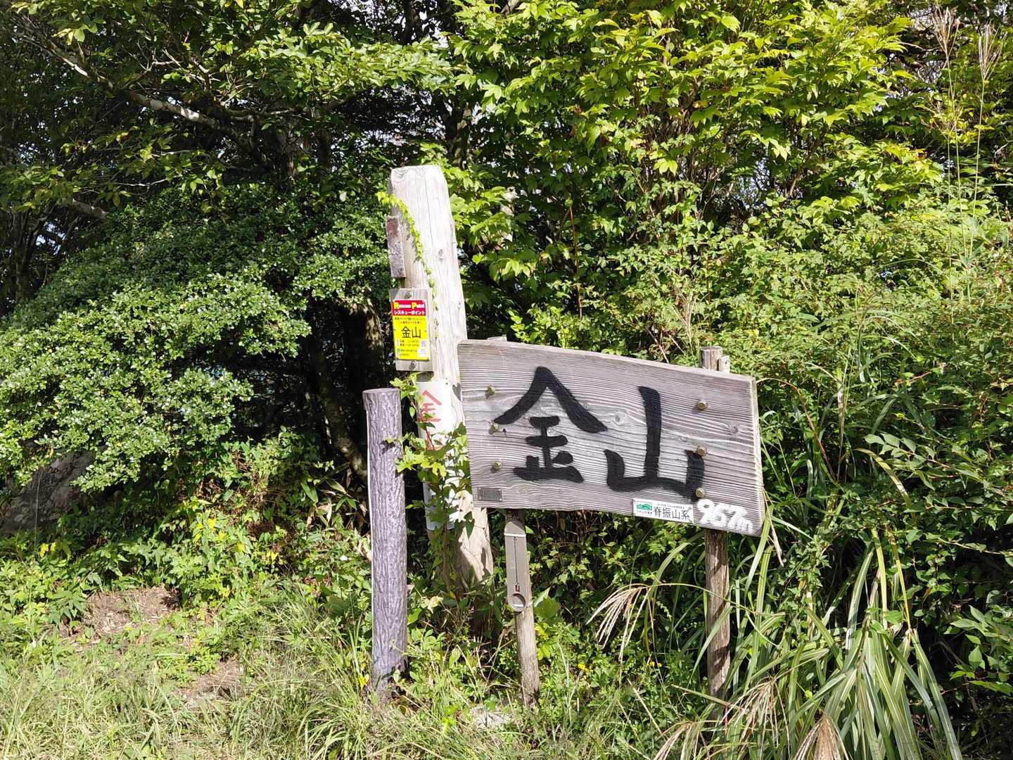 山頂です🎶