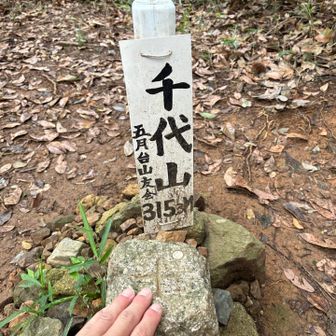 五月山に到着