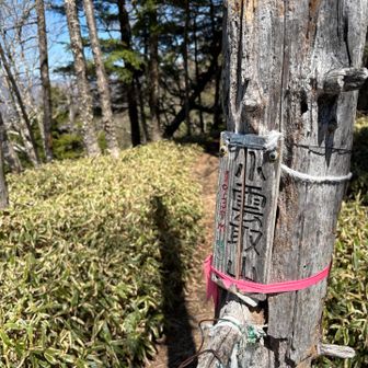 小雲取にも寄ってみました。