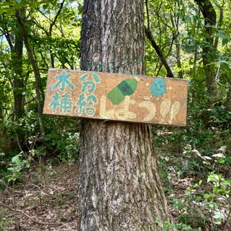 優しい看板😍
水分補給したかったけど、遊んでたら先輩においてかれた😱