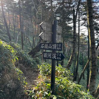 漸く分岐到着
