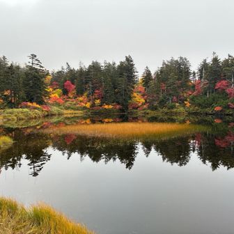 緑沼に戻ってきました。
