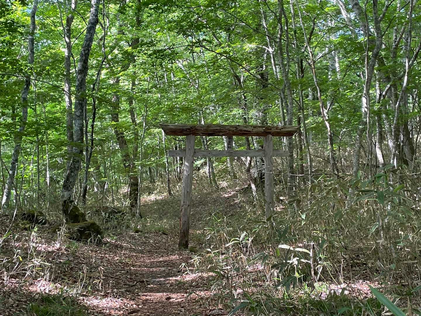 この辺まではなだらかです。御鍋神社は行ってないけど何かあるのかな？この辺まで車でこれるんですね。トイレもありました。