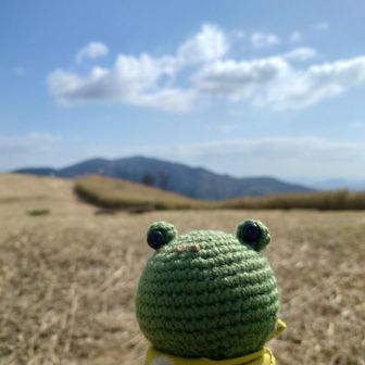 コメハ