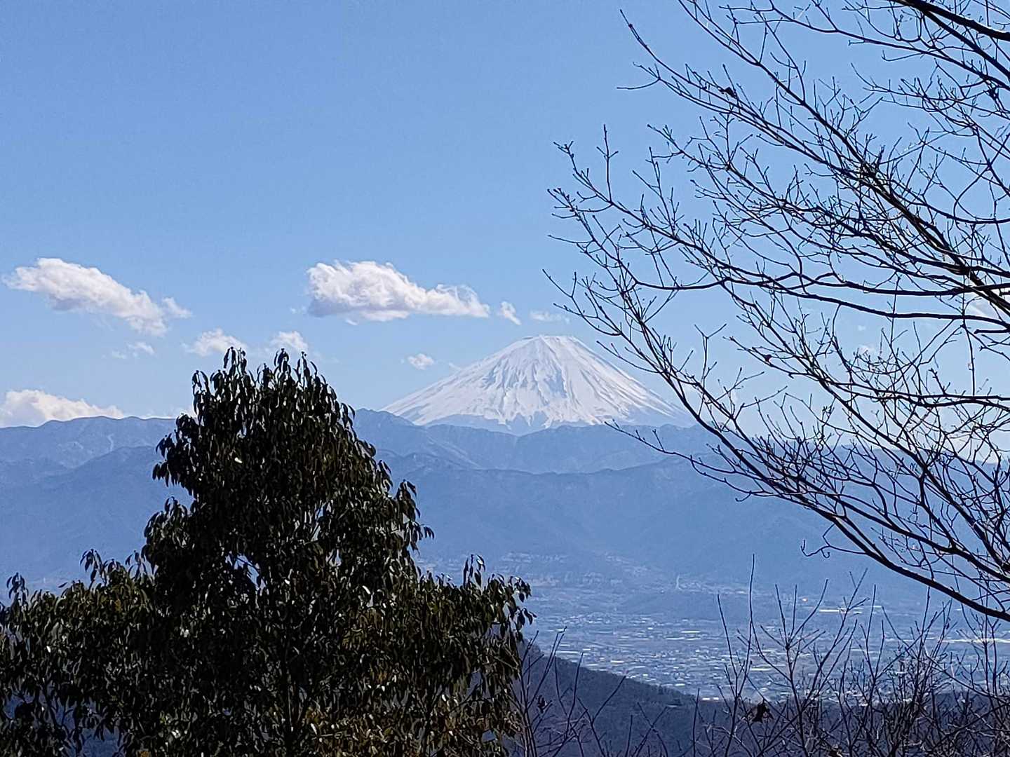 朝よりクリア