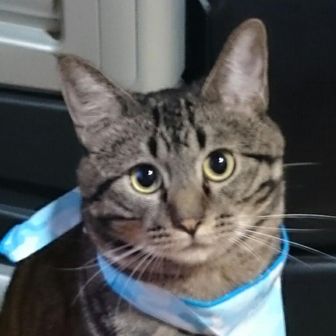 山王（さんのう）