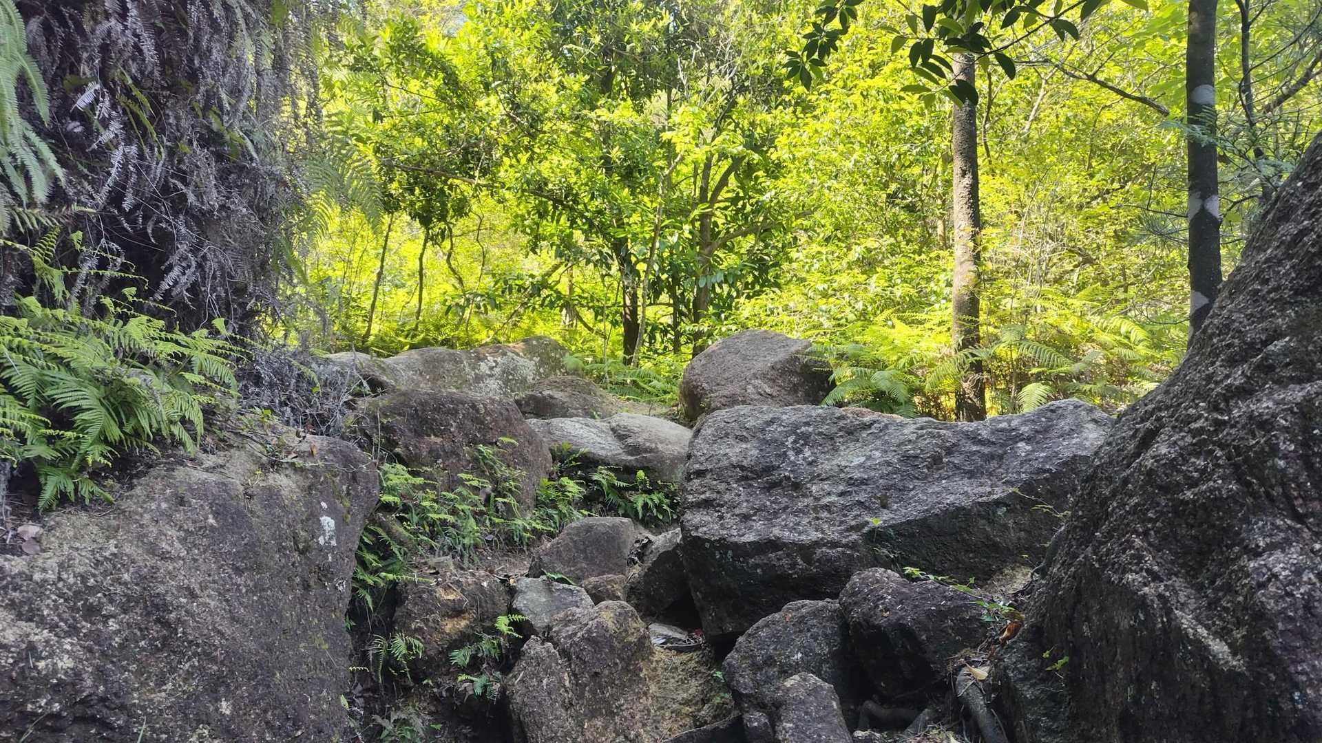 岩場
水も流れていて美しい✨
楽しくてどんどん登ってしまう😆