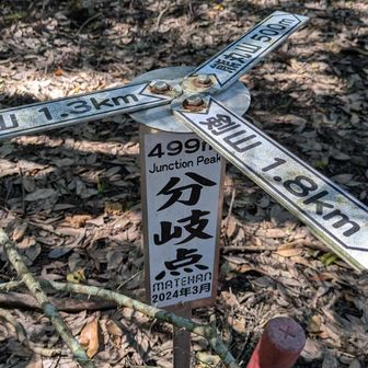 活動記録でよく目にする分岐