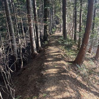 YAMAPの大地峠はその先50mくらいのこの場所
峠には見えないからさっきの場所なんやろね