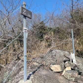 Ｚ山のピークは有刺鉄線