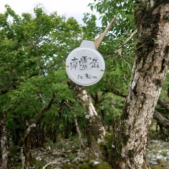 南霊岳山頂
