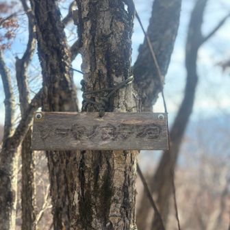 ソーヤノ丸デッコ 到着🙌
標識見えづらい😅