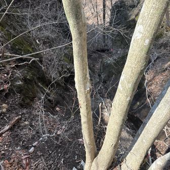 危ないとこもサクサク行けるぜ