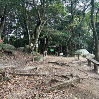 山頂が見えます