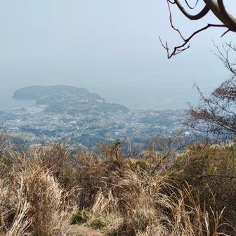 真鶴半島が一望できます