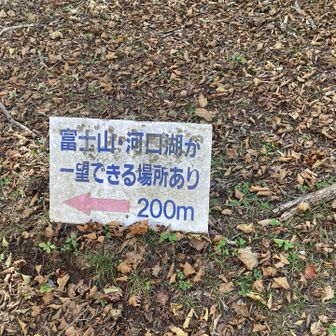 これは、是非是非見に行くべきっ！！！