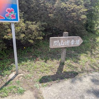 行ってみよ〜♫