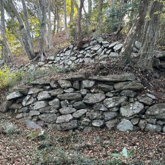 鴻ノ峰山頂。
なんか石垣がありますが、疲労困憊でもうこれが誰の作品で歴史的何とかはどうでもよくなってました。(^^;