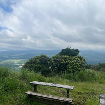 富士山は雲の中