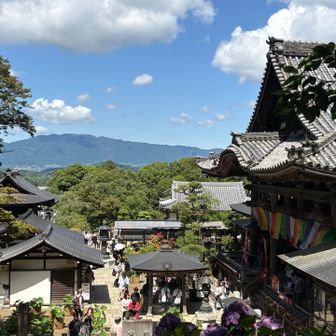 朝方まで大雨でしたが、いいお天気になってよかった🩵
岡寺は大勢の人で賑わっていました😃
見えている山は葛城山です⛰️