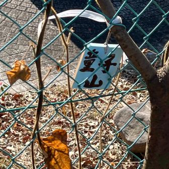 グレーピーク🩶　お疲れ様でした🤗