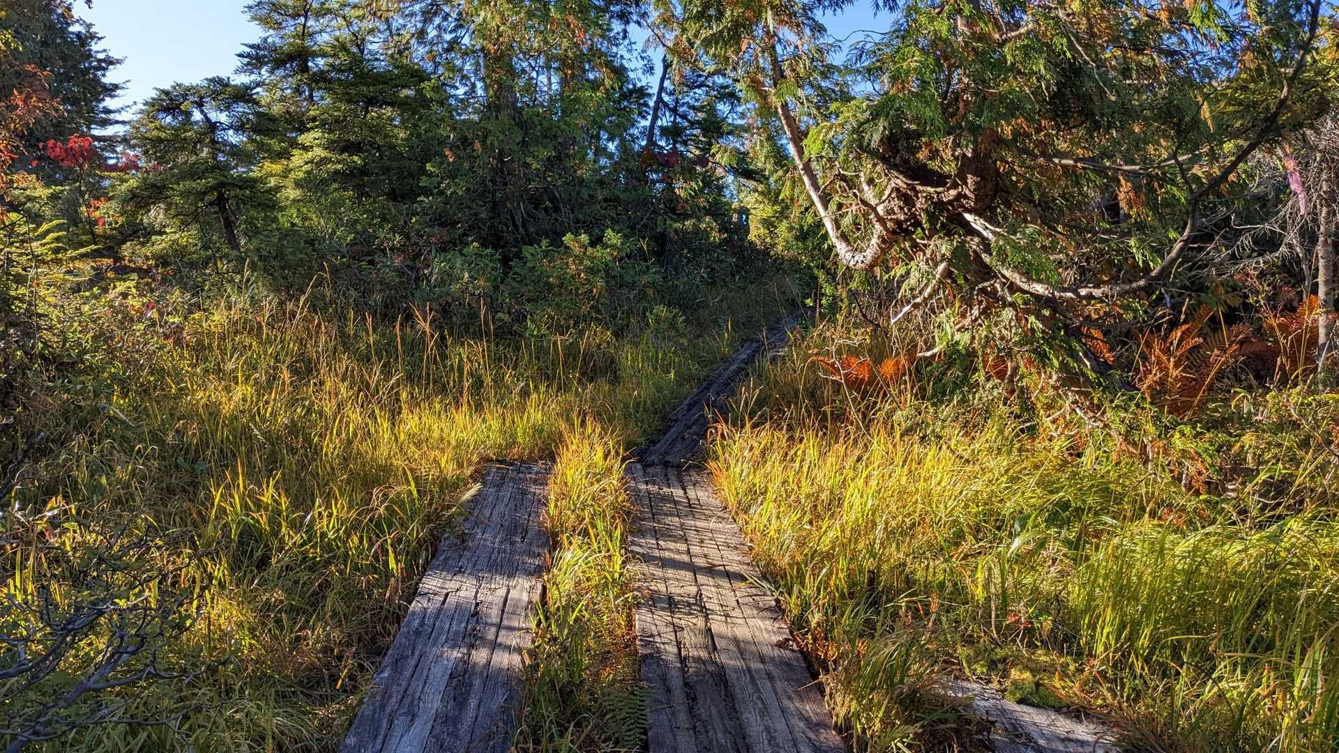 広沢田代-熊沢田代-燧ヶ岳 縦走コースの写真