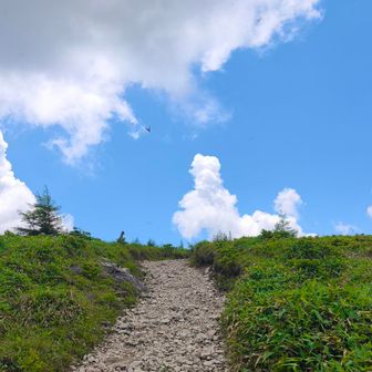 夏って感じの空 