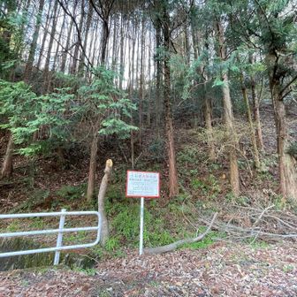 看板付近にピンクテープが巻いてある🪧🎀
地図で確認すると「わたごさま」は目と鼻の先。
ということでここから登ってみた📈
踏み跡はあるようなないような…といった感じで、木や枝を掴みながら急斜面をなんとか登り切ると、頭上に水道設備が見え…