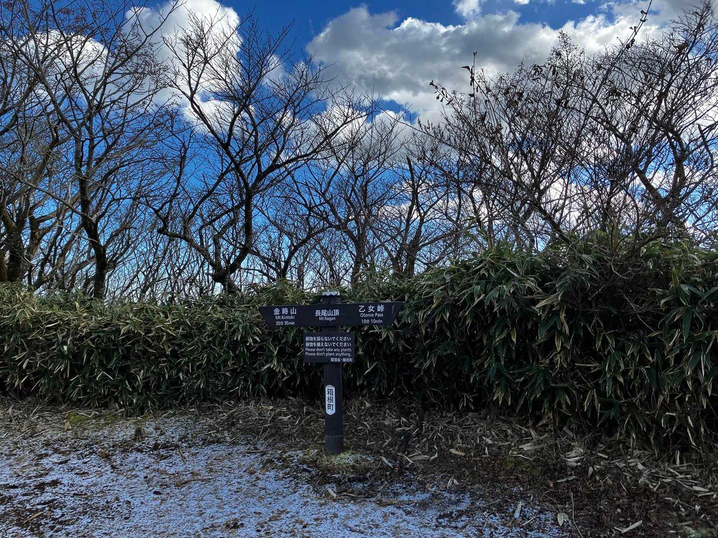 公時神社登山口-金時山-長尾山-乙女峠-姥ヶ茶屋 縦走コースの写真