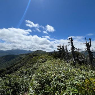 登山道です！！