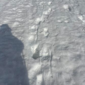 最初から埋まるなぁ〜
帰り大丈夫かな？？