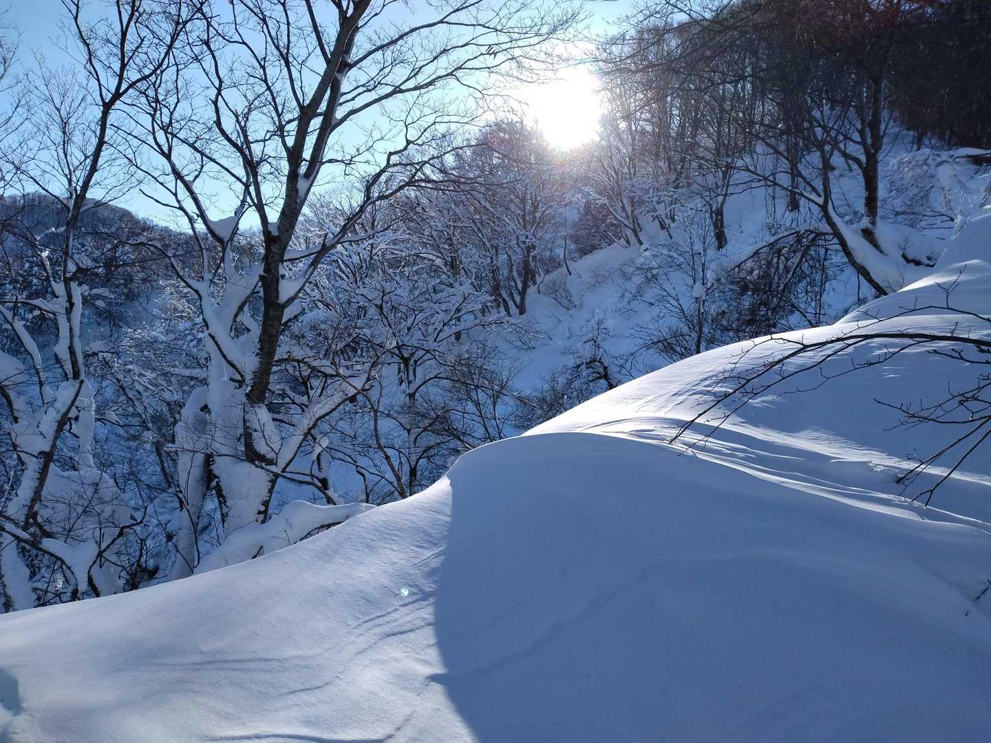 積もった雪がクリーミー🍦