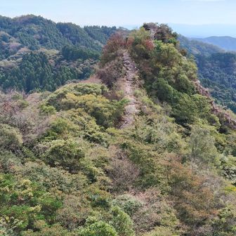 大観峰を振り返ります✨️