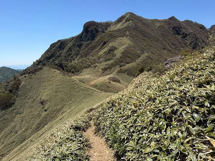 山山 桑瀬峠（笹ヶ峰・寒風山・平家平 / 愛媛・高知） / アクセス・地図