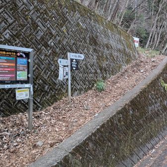 車道を少し登って行くと左側に小袖の登山口が出て来ます