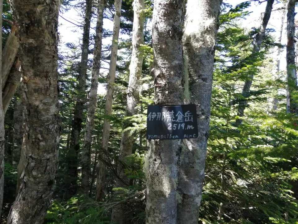 伊那荒倉岳の写真