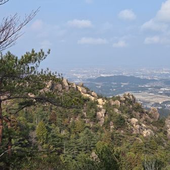 栗東トレーニングセンター🐴が見える