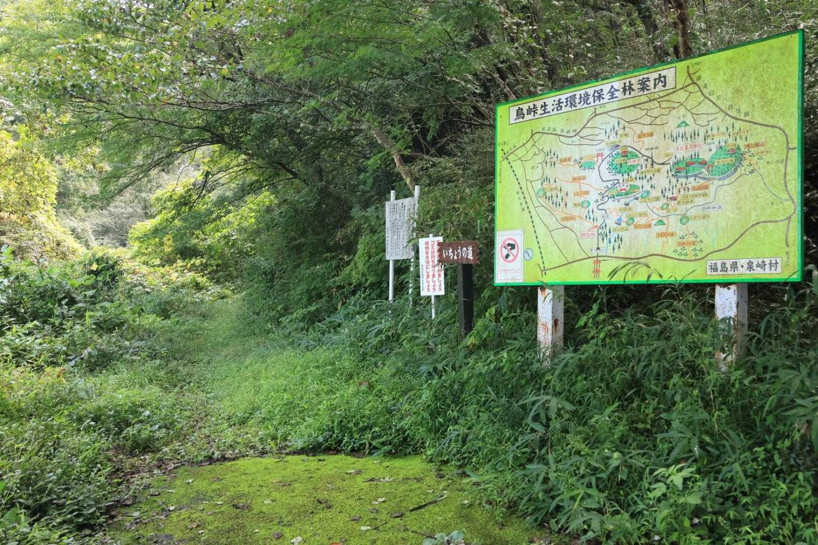 さて案内板前を「いちょうの道」へ