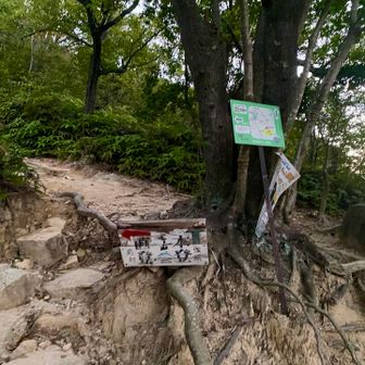 もちろん直登コースへ！