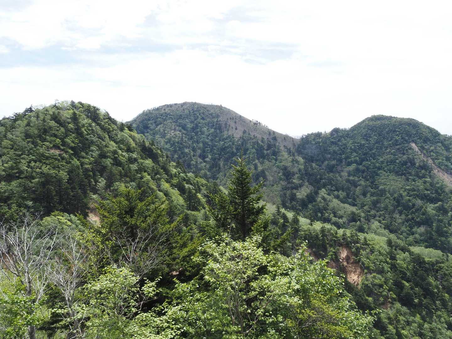 真ん中が高原山