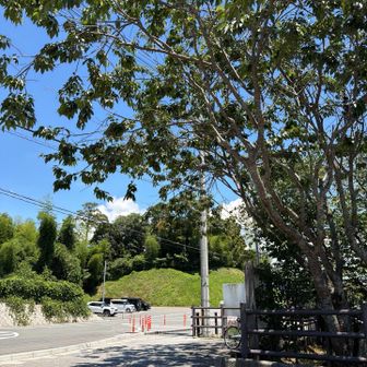 駐車場🅿️  無事下山！おつかれ山！
下界灼熱32℃🔥