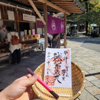 銭洗弁財天。こんなのアガるに決まってる。