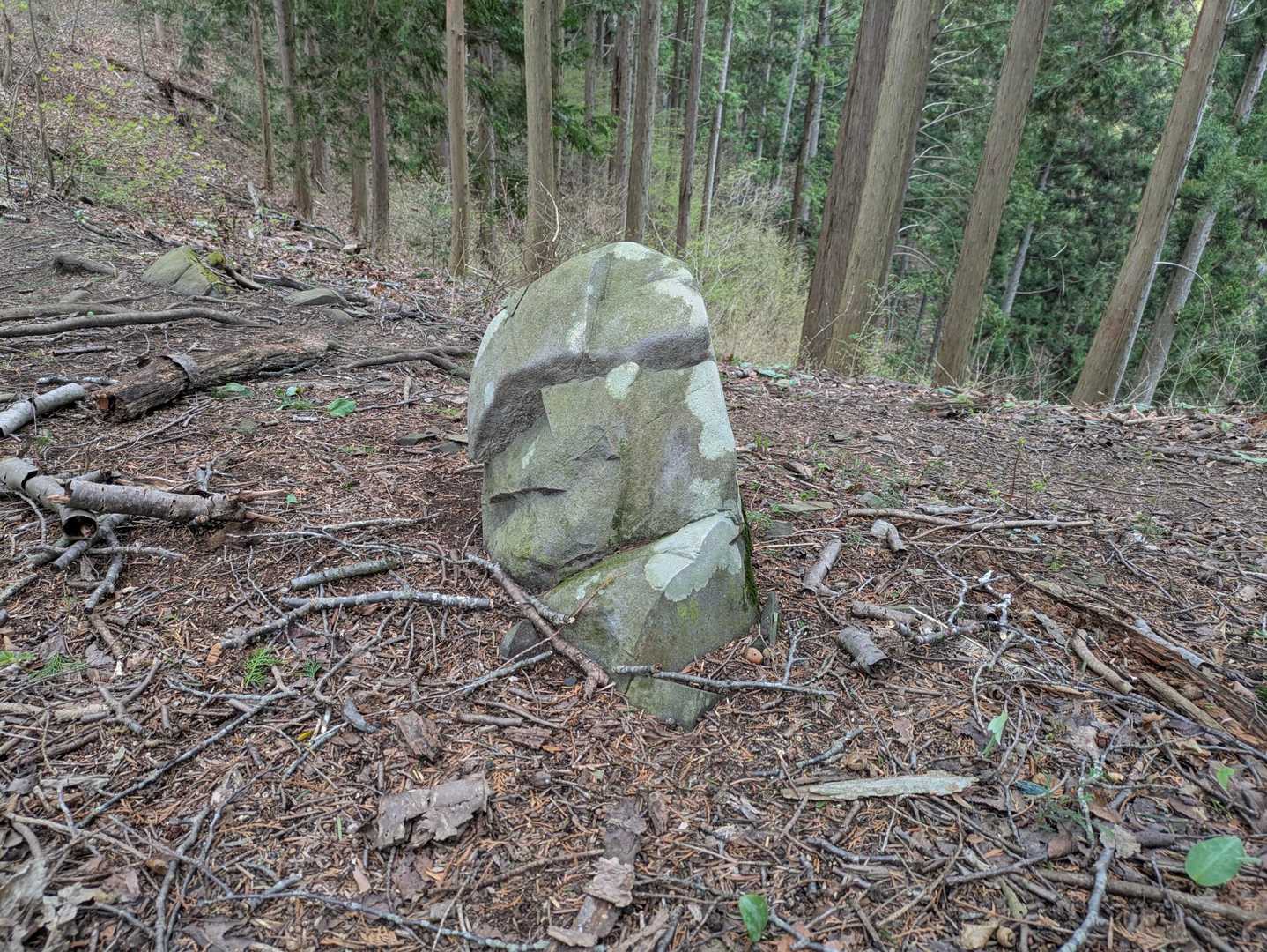 モアイ🗿ちっくな岩