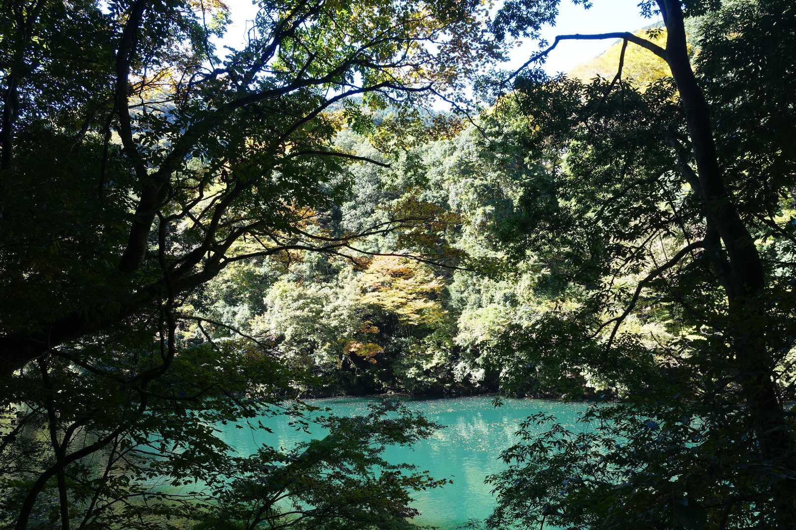 【フラット登山】大多摩ウォーキングトレイル　渓谷美と焚き火を楽しむの写真