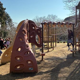 娘は遊びたい盛り😆
